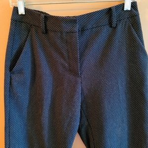 Zara Basic Pants